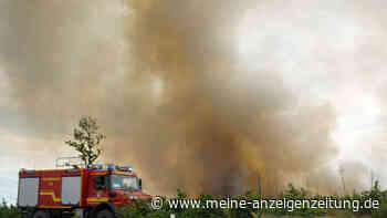 Massive Hitze: 60 Hektar Wald in Brandenburg in Flammen – Gefahr steigt bundesweit
