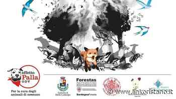 Il Montiferru un anno dopo il grande incendio. A Santu Lussurgiu convegno su bosco e animali selvatici - LinkOristano