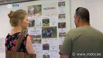Natuurpunt houdt jobdag in Diest: "Op zoek naar verschillende profielen" - ROB-tv