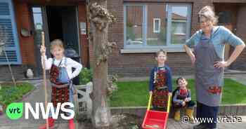 Diest zoekt inwoners om stuk openbaar groen te adopteren - VRT NWS