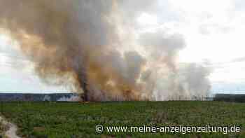 Fläche von 84 Fußballfeldern - Waldbrand bei Brandenburg