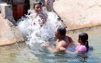 Invitan a no utilizar canales y albercas sin certificación libres de amiba - La Voz de la Frontera