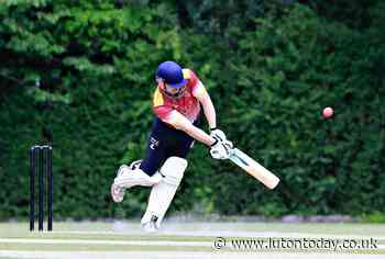 Half-century for Hasan but Luton Town & Indians fall to Flitwick defeat - Luton Today