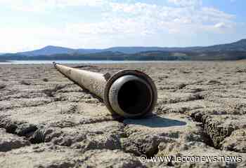 CRISI GRANO/LECCO-COMO, LA SICCITÀ FA DIMINUIRE LA PRODUZIONE DEL 30% - Lecconews