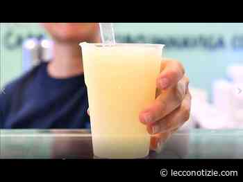 La vera granita siciliana? Alla Gelateria Capo Horn di Lecco - Lecco Notizie