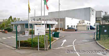 Riapertura "condizionata" per lo stabilimento Ferrero di Arlon, fermo da aprile per il caso salmonellosi - LaVoceDiAlba.it