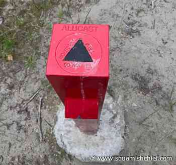 Explainer: Here's what that red pole is doing along the Squamish River trail - Squamish Chief