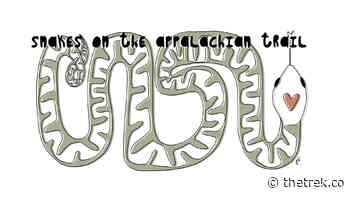 5 Common Snakes on the Appalachian Trail - The Trek