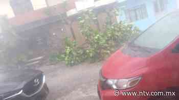 Vuelve a pegarle una tormenta a Tepic - NTV | El Portal de Nayarit