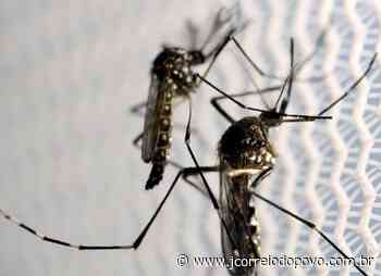 Acontece Dia D de Combate a Dengue em Laranjeiras do Sul - J Correio do Povo