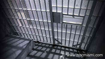 Naples Woman Arrested in Broward, Accused of Organized Fraud