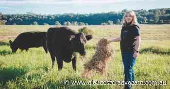 Local Land Services advises prepare now for winter feed gaps - Gloucester Advocate