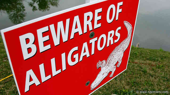 Dog Dragged Into Water, Eaten by Gator at Florida Park