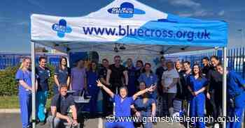 Staff at Grimsby's Blue Cross brave the heat to raise essential funds through bikeathon - Grimsby Live