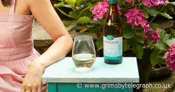 Two wines perfect for barbecues and picnics this summer - Grimsby Live