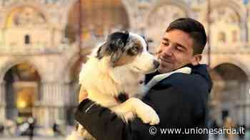 Cagnolina di Simeone avvelenata a Cagliari, gli animalisti: “Taglia di 5mila euro sui responsabili” - L'Unione Sarda.it - L'Unione Sarda.it