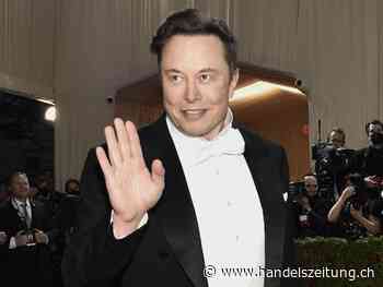 SpaceX feuert Mitarbeiter nach Musk-kritischem Brief