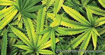 Colorado Springs cannabis initiatives could smoke Manitou market - Our Community Now