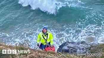 Dogs rescued from cliff fall at Watergate Bay, Cornwall - BBC