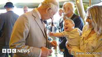 Royal Cornwall Show visitors hit seven-year high - BBC