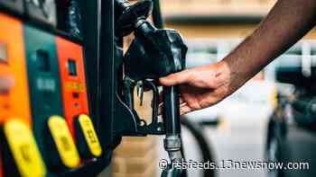 Two arrested in connection to alleged theft of $14K in gasoline from Virginia Beach pump