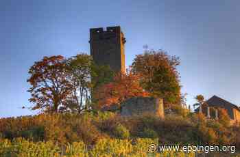 ▷ Sommer-Konzert auf der Ravensburg in Sulzfeld - Eppingen.org