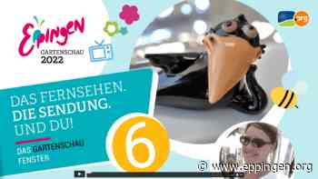 ▷ Gartenschaufenster: Folge 6 - Eppingen.org