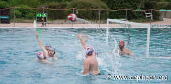 ▷ Wasserfreunde Gemmingen verlieren erstes Heimspiel nach drei Jahren gegen Pforzheim - Eppingen.org