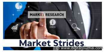 Augmented Reality Market Size 2022 Analysis by 2030 - Digital Journal