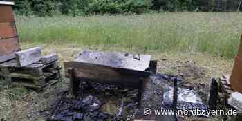 Alarm in fränkischer Gemeinde: Feuerwehr rückte zu vermeintlichem Waldbrand aus - Nordbayern.de