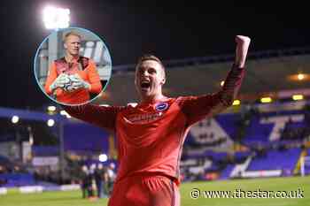 David Stockdale's honest comments about Cameron Dawson should excite Owls fans - The Star