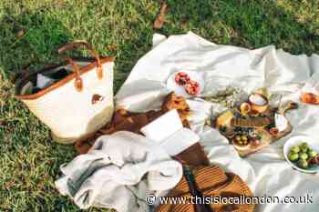World Picnic Day: Blankets, cool bags, cutlery and more from Selfridges, M&S and more