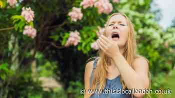 7 tips to relieve your hayfever symptoms as Met Office warns of 'pollen bomb'