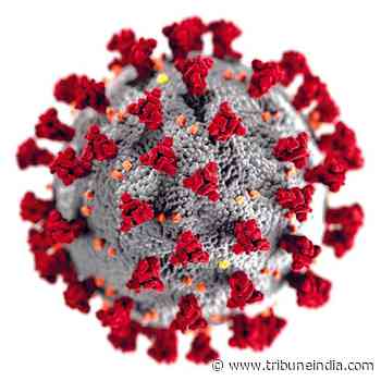 55 test positive for Coronavirus, 35 cured in Chandigarh - The Tribune India
