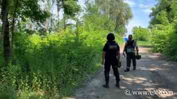 Minas antipersona, un peligro para civiles que no es nuevo en Ucrania - Agencia EFE