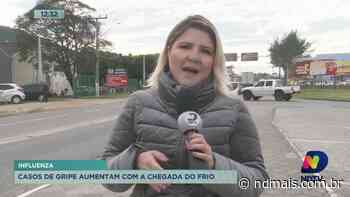 Imbituba amplia compra de testes de influenza devido ao aumento dos casos da doença - ND Mais