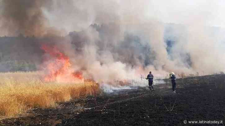 Vasto incendio a Priverno, le fiamme bruciano un campo di grano e lambiscono le case - LatinaToday