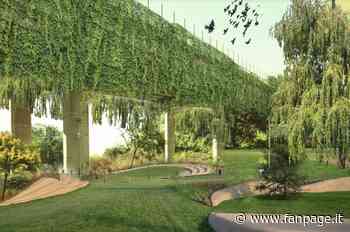 Il ponte incompiuto di San Giacomo dei Capri diventa una cascata verde: il progetto che ha vinto - Fanpage.it