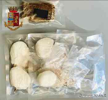 Import di coca e hashish da Napoli a Capri, preso un 73enne - Campania - Agenzia ANSA