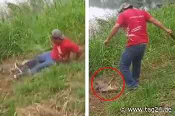 Mann wirft mit Steinen nach Krokodil: Dann packt ihn das Tier! - TAG24