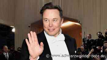 Mögliche Übernahme - Musk will Twitter unterhaltsamer machen - Schwarzwälder Bote