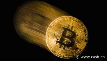 Bitcoin-Absturz - Krypto-Hedgefonds Three Arrows Capital erwägt Notverkauf