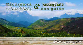 Dall'alba al tramonto, l'estate protagonista. Escursioni nella natura con guida - Giro FVG