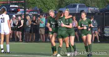 FHC scores 3 straight to beat Gull Lake in state semifinal - FOX 17 West Michigan News