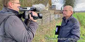 Marl: Tauziehen um Baugebiet Langehegge in Marl - Parteien bekennen Farbe - Marler Zeitung