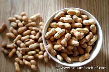 Is there a children's peanut allergy treatment? - Squamish Chief