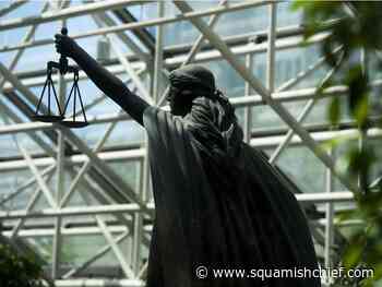 BC actor's mental illness contributed to mother's murder - Squamish Chief