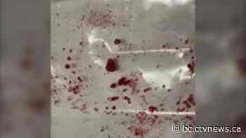 BC news: Toxic drug alert for Quesnel | CTV News - CTV News Vancouver