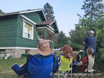 Bat counts begin in Cariboo region this month – Quesnel Cariboo Observer - Quesnel - Cariboo Observer