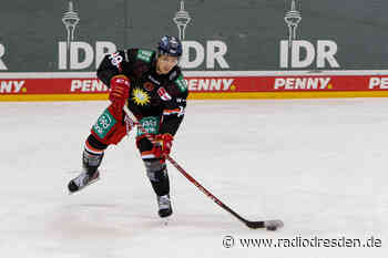 Eislöwen holen Mittelstürmer Niklas Postel zurück - Radio Dresden